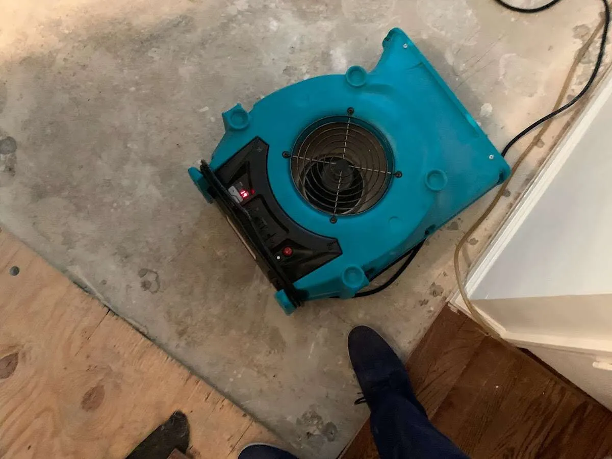 Air mover drying subfloor during Leak Detection & Repair in Woodland
