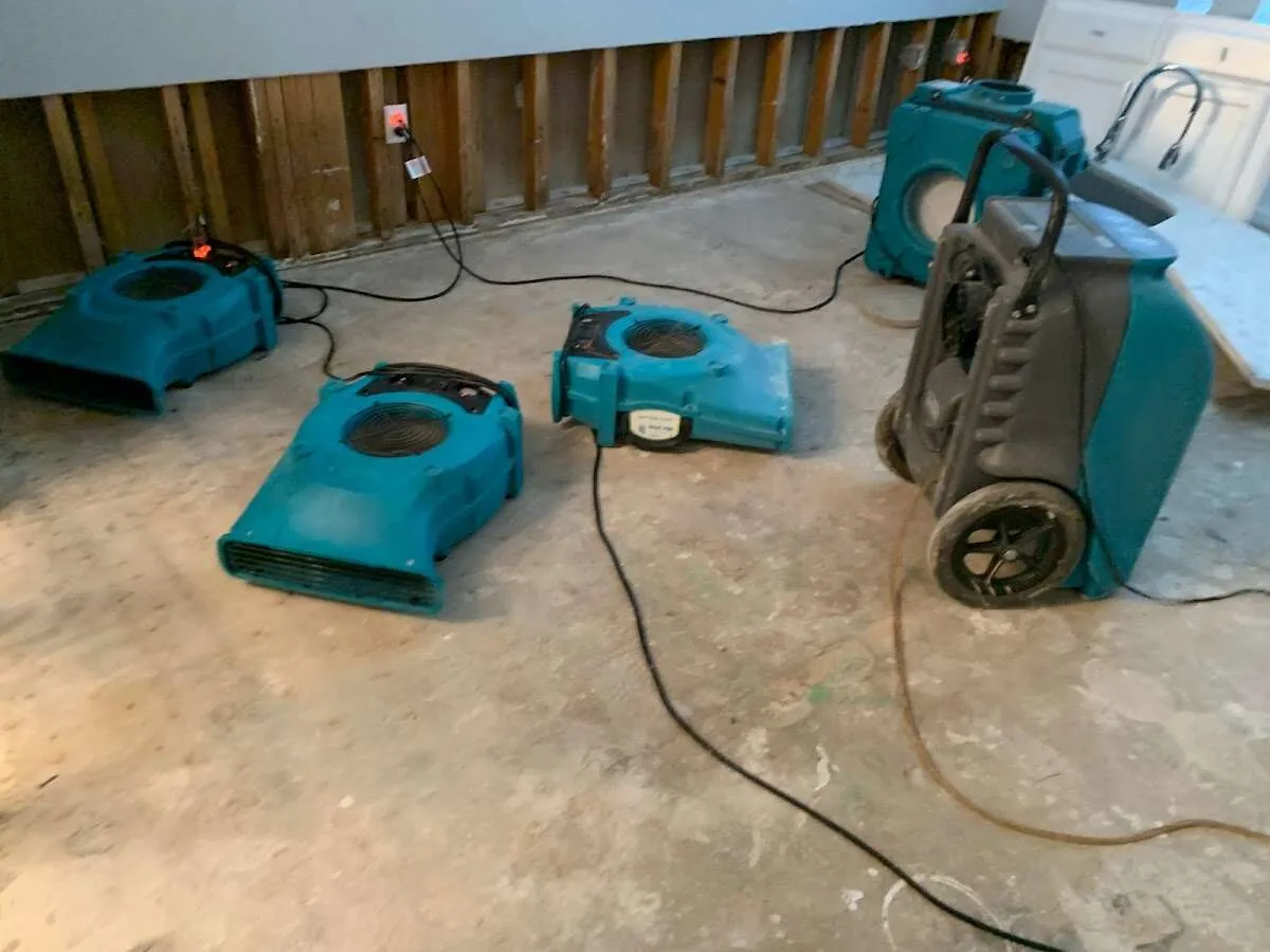 Water Damage Restoration services in Woodland, WA